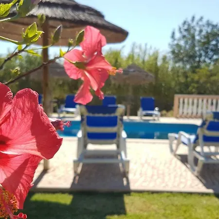 Maison d'hôtes Vila Mil Flores Ferreiras